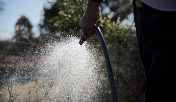 Watering the garden with garden hose