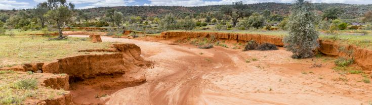 Dry river bed Mutawintji National Park NSW Australia