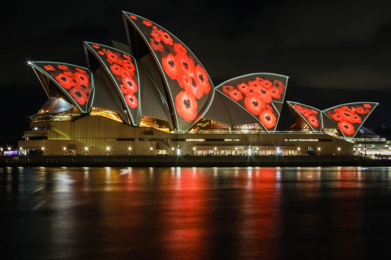 Poppies projected onto the Sydney Opera House on Remembrance Day