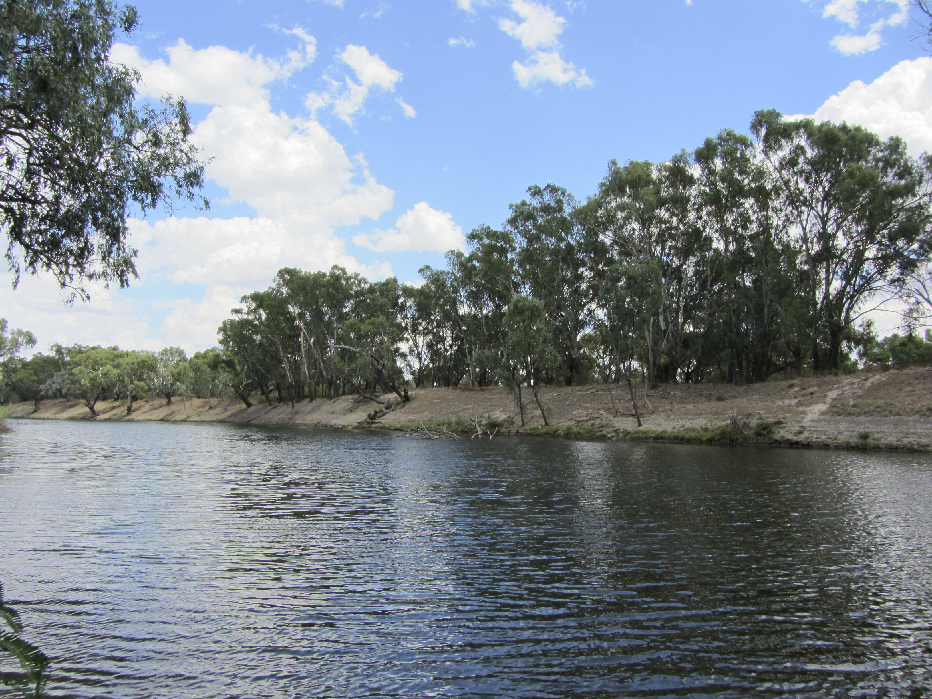 Bourke Wharf Darling River Red Gums