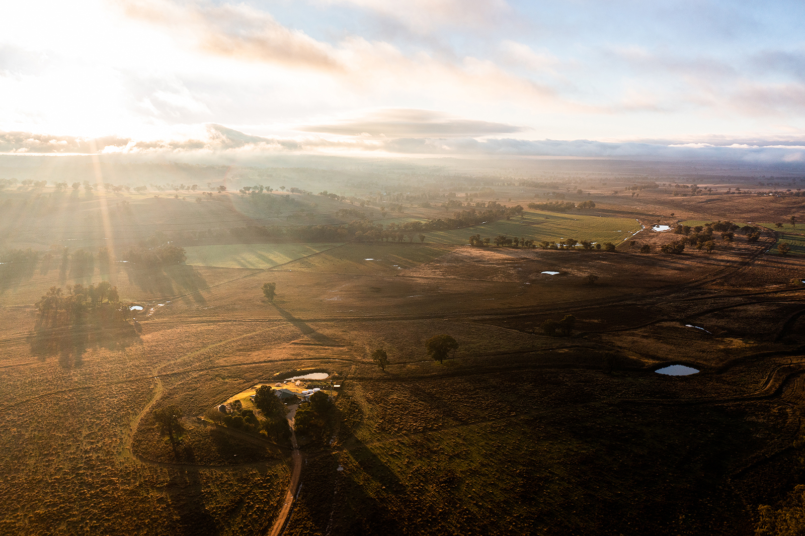 An aerial image of farmland at sunrise