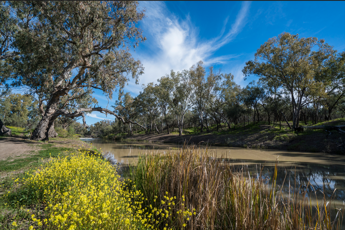 Country landscape, Namoi River, Walgett, NSW