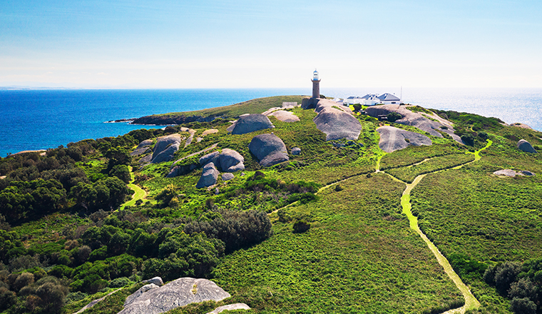 Aerial View Barunguba Montague Island Nature Reserve