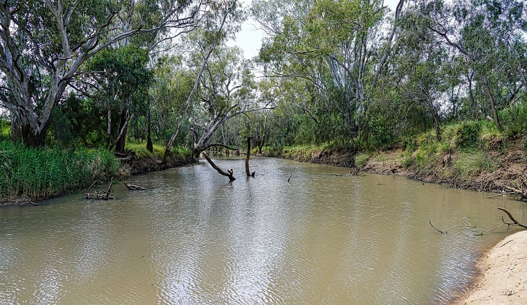Castlereagh River