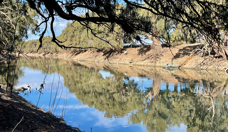 Stretch of River with tree reflections