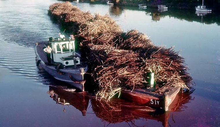 MV Beardmore and punt string.