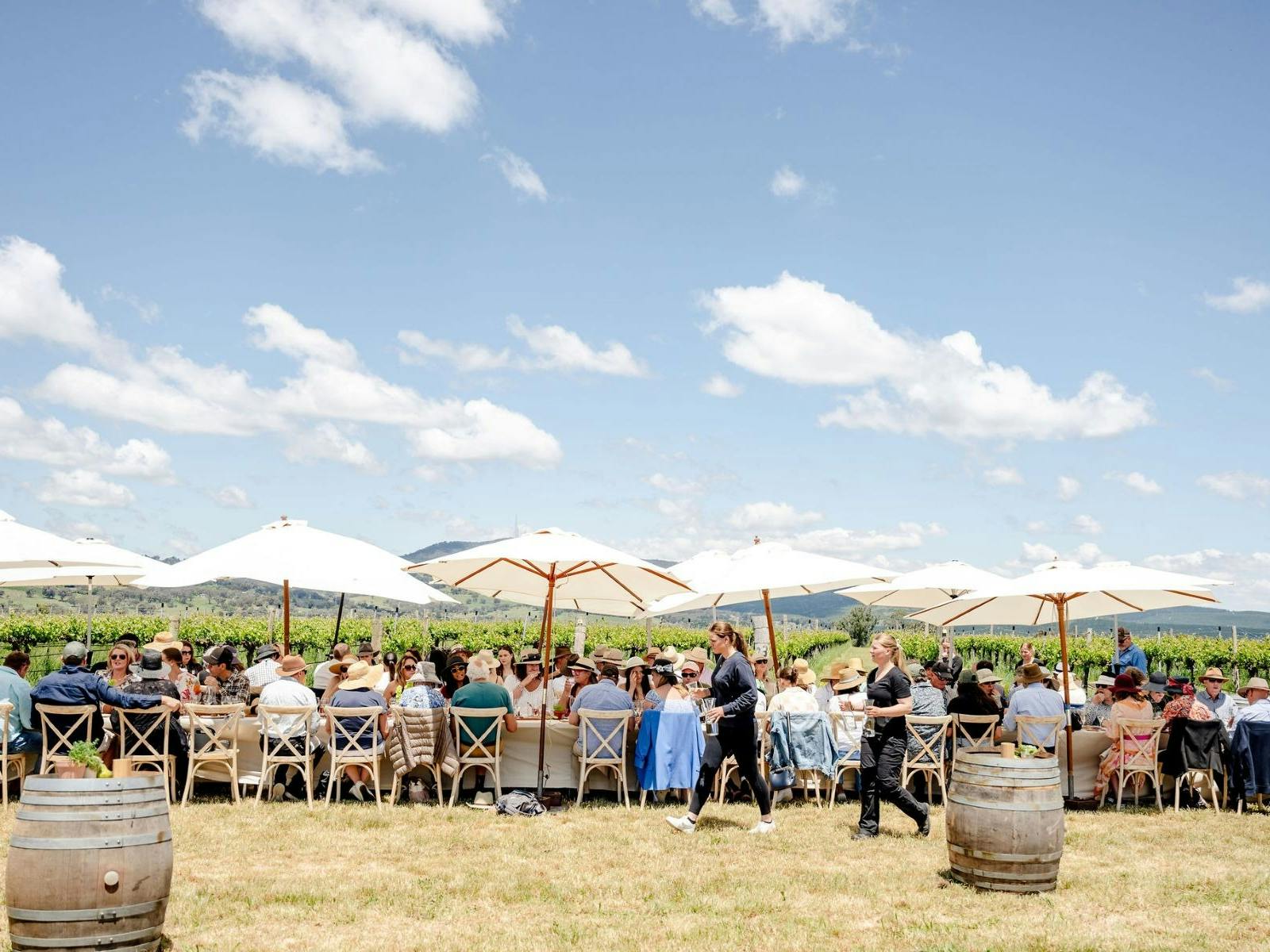Orange Wine Festival