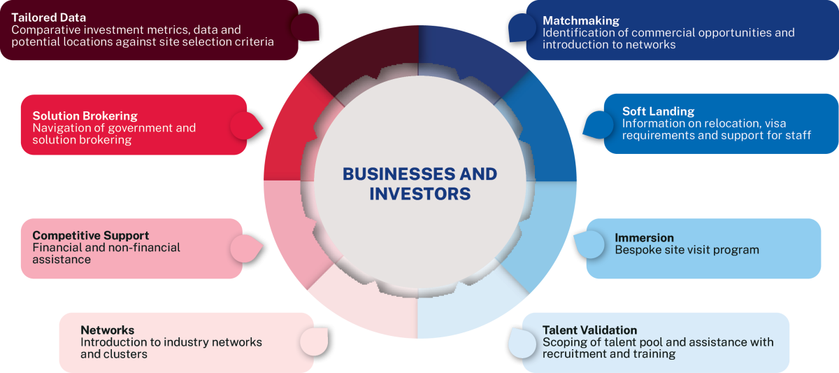 Graphic outlining the services that Invest Regional NSW provide to domestic and international investors. This includes Tailored Data, Solution Brokering, Financial Assistance, Networking, Business Matching, Bespoke Site Visits and Talent Validation.