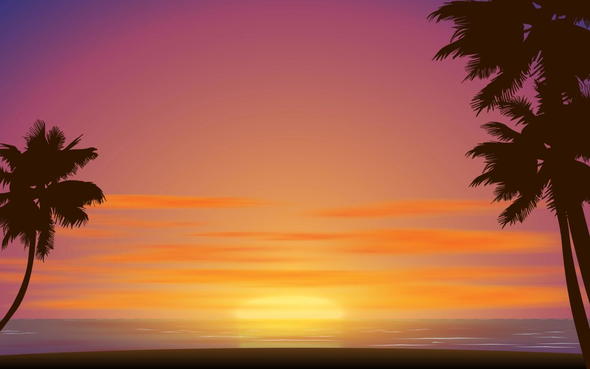 A vibrant orange and pink sunset over the ocean, with palm trees silhouetted in the foreground.
