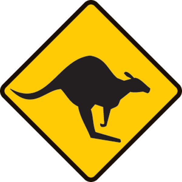 Warning sign advising of Kangaroos in the area. Lookout for Kangaroos on the road or roadside
