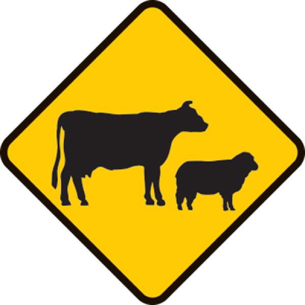 Livestock may be crossing ahead. Drive with caution