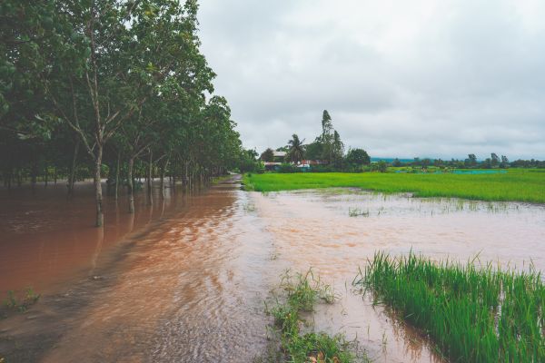 Flooded farm road