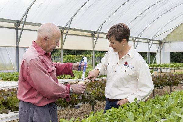 Land Services NSW worker interracts with client in market garden