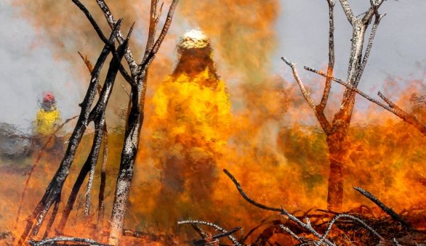 A photo of a RFS firefighter seen through the haze and flames of a bushfire.