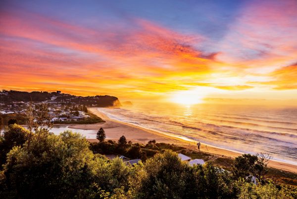 A sunrise with pink and yellow clouds over a coastline with houses. Image by Destination NSW
