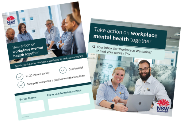 Workplace Wellbeing Assessment business toolkit.