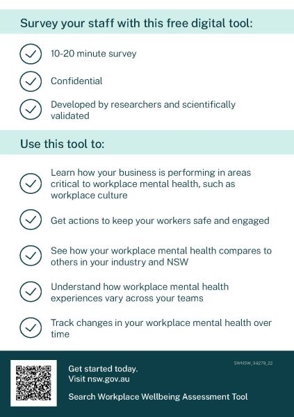 Page 2 of the Workplace Wellbeing Assessment flyer.