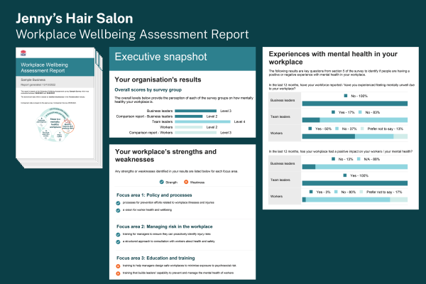 Snapshot of the report you receive after completing the workplace wellbeing assessment. The 40 page report is comprehensive, and details which level your workplace sits at for the four focus areas of a mentally healthy workplace. It also provides areas of improvement and specific actions you can take to increase your score.