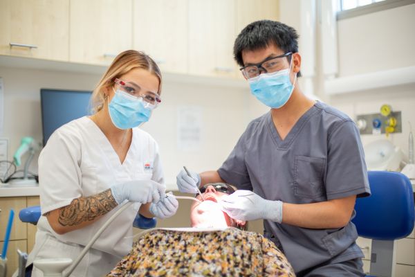 Dental patient with oral hygienist and dentist