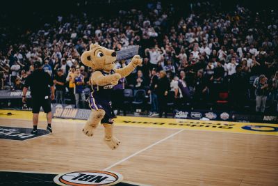 The Sydney Kings lion mascot is dancing on an indoor basketball court. He is reaching out the to crowd and the crowd are clapping and cheering for him. 