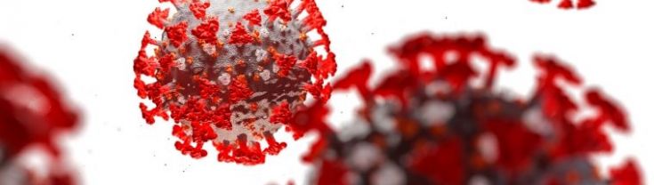 3D illustration of coronavirus cells