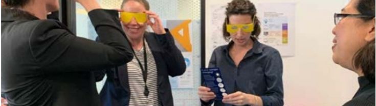 NSW Government staff test sight impairment simulator glasses