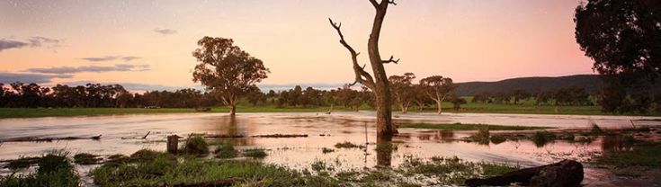 A flooded paddock at dusk in Central West NSW