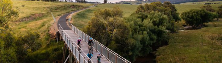 Four bike riders riding over a bridge on the Tumbarumba Rail Trail