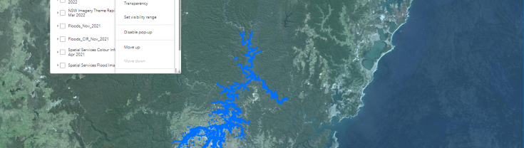 Screenshot of NSW flood imagery map