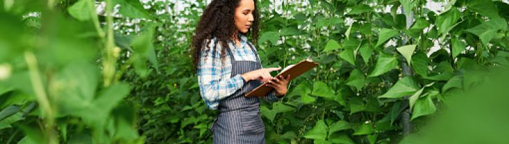 Market gardener in green house checking clipboard