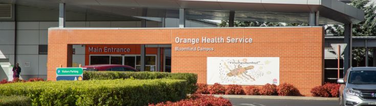 Orange Health Service