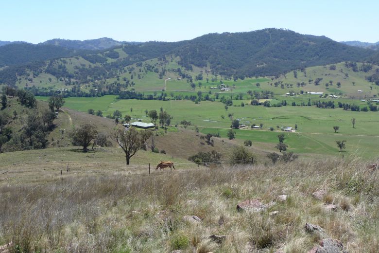 Rolling hills in the Hunter Valley featuring a horse grazing.