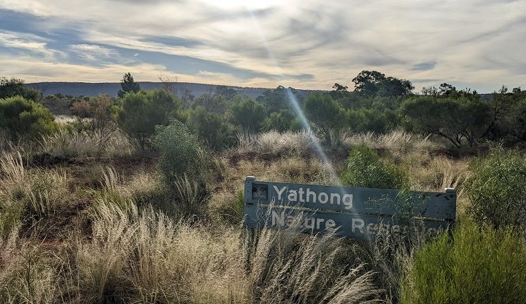 Yathong Nature Reserve sign in the foreground with grasses and shrubs behind and mountains in the distance