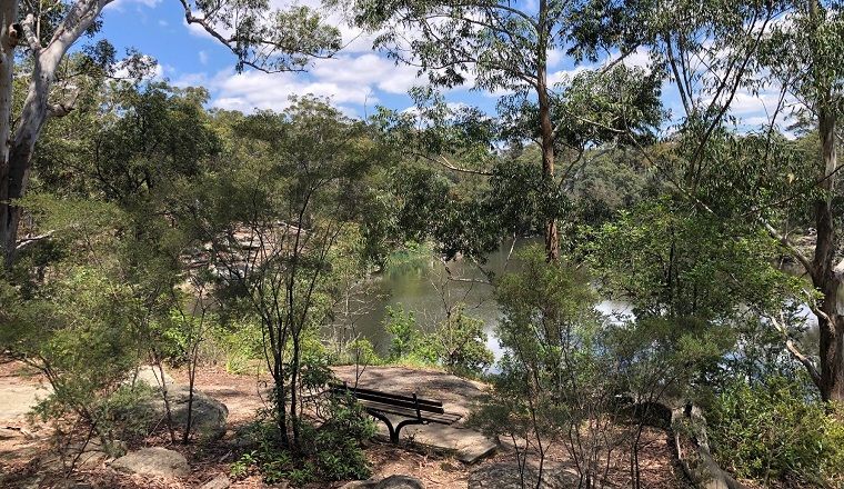 Lake Parramatta through the trees with a bench seat in the foreground.