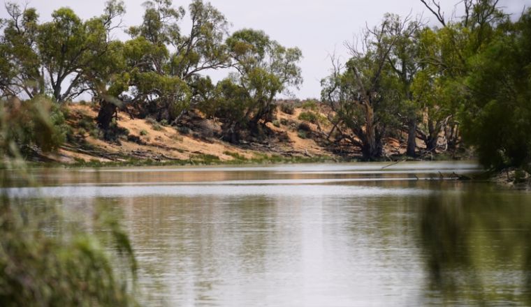 A front on view of the Lower Murray Darling