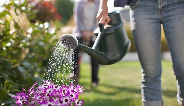 A woman wearing jeans using a watering can to water a garden