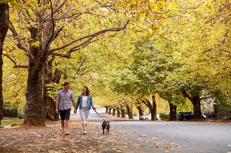 Couple walking their dog on a street in Orange New South Wales