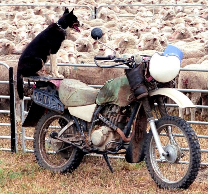 Agricultural motorcycle