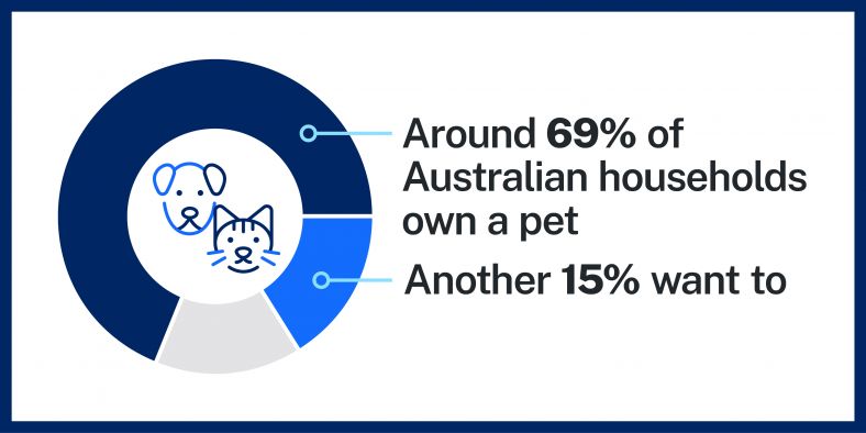 A graphic that says 69 percent of Australian households have a pet and another 15 percent want to own one.