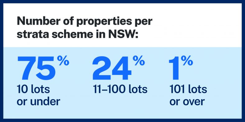 Image showing number of small, and large, strata schemes in NSW.