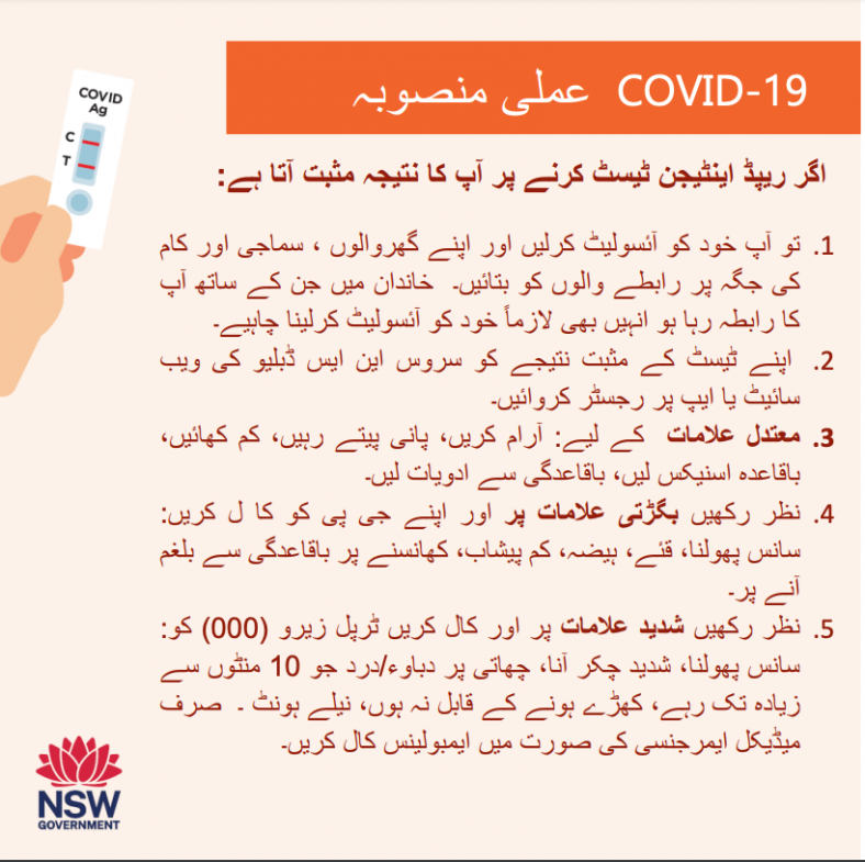 Urdu language instructions if you test positive to COVID-19 on a rapid antigen test