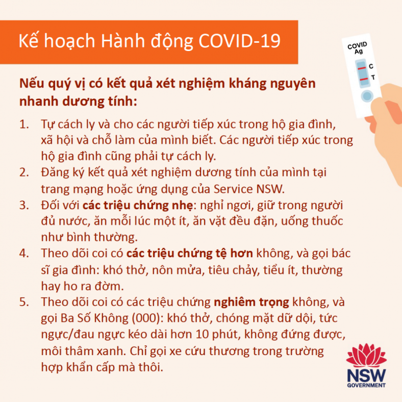 COVID-19 Action Plan if you test positive on a rapid antigen test (RAT)