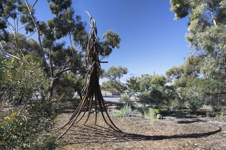 Image of Broken Hill Riddiford Arboretum