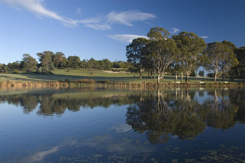 Lakeside lawn at the Australian Botanic Garden