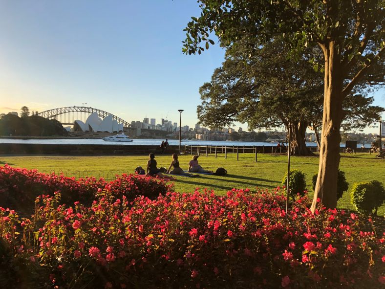 Image of Royal Botanic Harbour View