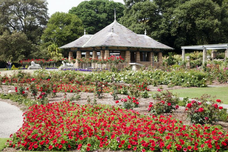 Image of Royal Botanic Rose Garden