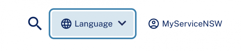 Language translation button