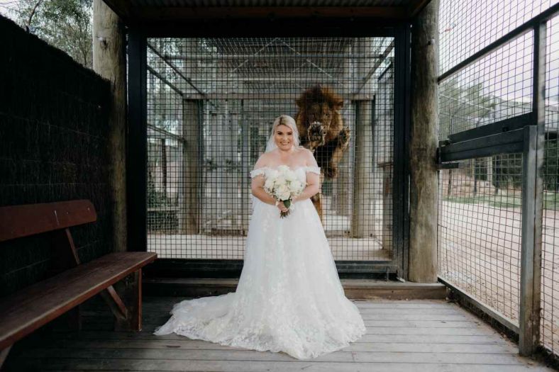 A bride poses in front of a lion at the lion enclosure