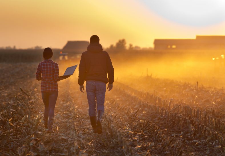 The back of a female farmer walks through crops at sunset holding a laptop, alongside the back of a male farmer