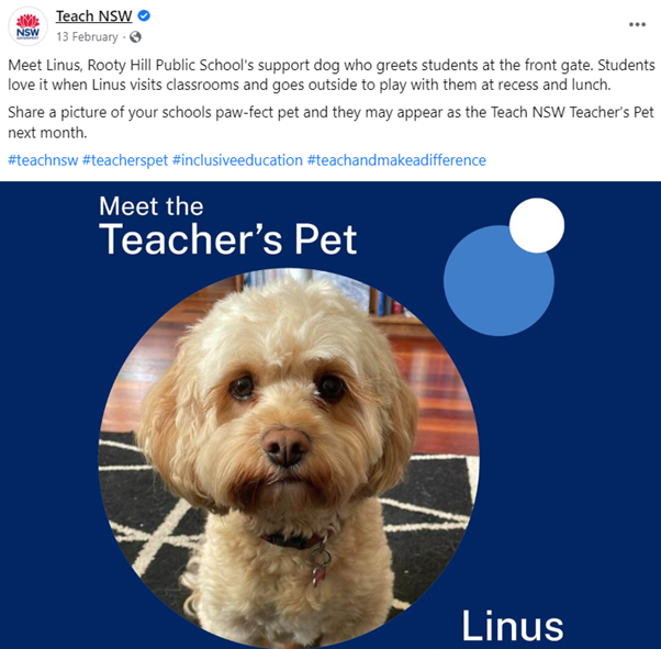 Language tech NSW post featuring little white dog